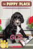 Book cover for "Gus".