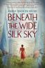 Book cover for "Beneath the wide silk sky"