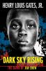 Book cover for "Dark sky rising".