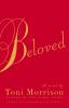 Book cover for "Beloved"