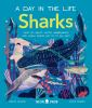 Book cover for "Sharks"
