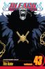 Book cover for "Bleach".