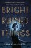 Book cover for "Bright ruined things"