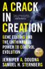 Book cover for "A crack in creation"