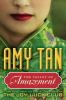 Book cover for "The Valley of Amazement"