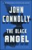 Book cover for "The black angel".