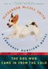 Book cover for "The dog who came in from the cold".
