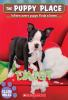 Book cover for "Daisy"