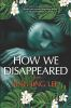 Book cover for "How we disappeared"
