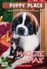 Book cover for "Maggie and Max".