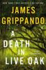 Book cover for "A death in Live Oak".
