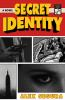 Book cover for "Secret identity"