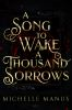 Book cover for "A song to wake a thousand sorrows"