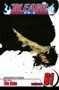 Book cover for "Bleach".