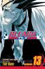 Book cover for "Bleach".