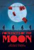 Book cover for "Four faces of the moon"