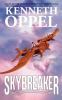 Book cover for "Skybreaker".