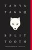 Book cover for "Split tooth"