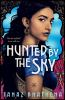 Book cover for "Hunted by the sky".