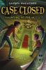 Book cover for "Haunting at the hotel".