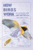 Book cover for "How birds work".