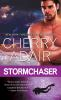 Book cover for "Stormchaser".