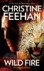 Book cover for "Wild fire".