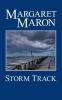 Book cover for "Storm track".