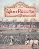 Book cover for "Life on a plantation".