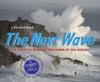 Book cover for "The next wave"