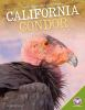 Book cover for "California condor".