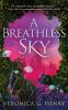 Book cover for "A breathless sky".
