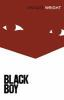 Book cover for "Black boy"