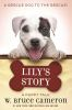 Book cover for "Lily's story".