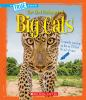 Book cover for "Big cats"