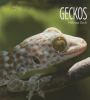 Book cover for "Geckos".
