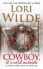 Book cover for "Cowboy, it's cold outside".