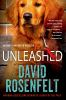 Book cover for "Unleashed".