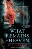 Book cover for "What remains of heaven".