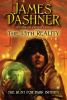Book cover for "The hunt for dark infinity"