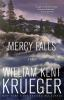 Book cover for "Mercy Falls".