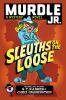 Book cover for "Sleuths on the loose"