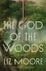 Book cover for "The god of the woods".