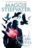 Book cover for "The dream thieves".