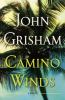 Book cover for "Camino winds"