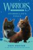 Book cover for "Stormclan's folly".