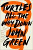Book cover for "Turtles all the way down"