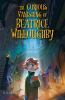 Book cover for "The curious vanishing of Beatrice Willoughby"