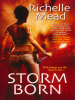 Book cover for "Storm Born".
