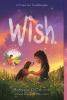 Book cover for "Wish"